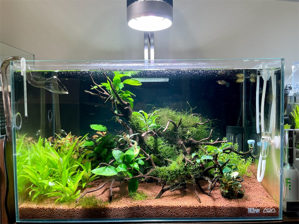 Haru Designソラリス 8000 CT(2022年モデル) 【公式通販】