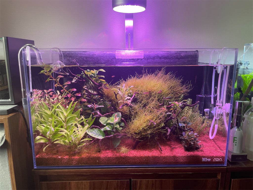 Haru Designソラリス 8000 CT(2022年モデル) 【公式通販】