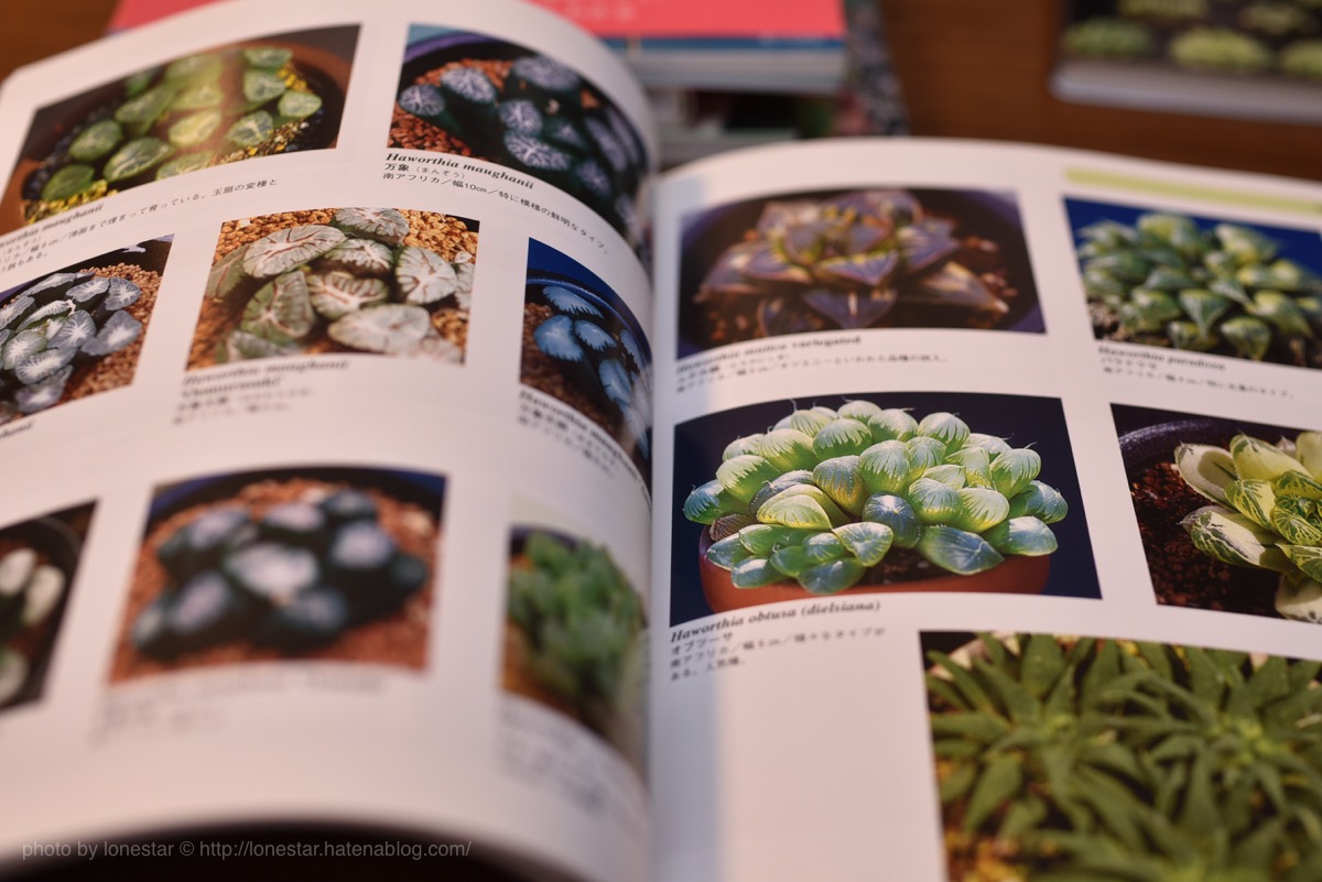 もっと多肉植物が好きになる！多肉を育てる時に役に立つ本や写真集を6