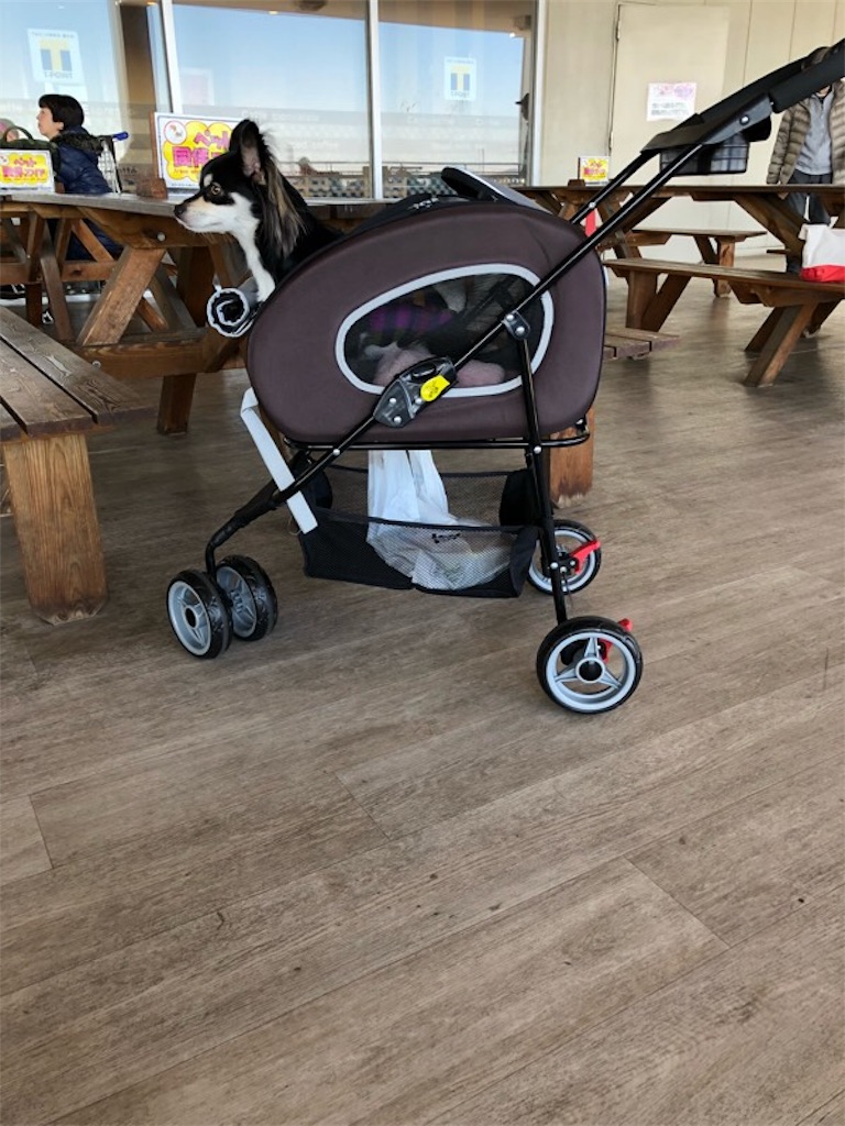 4WAYペットカート 【公式通販】