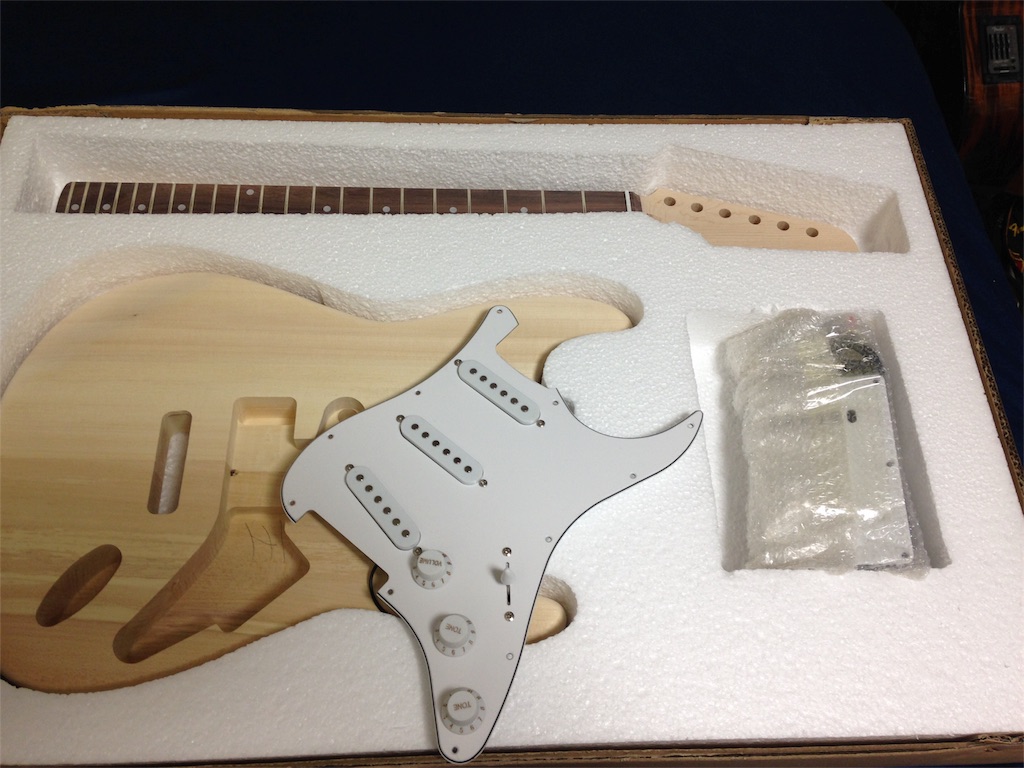 自作ギター 初号機 テレネックストラトキャスター - にゃんごとなき