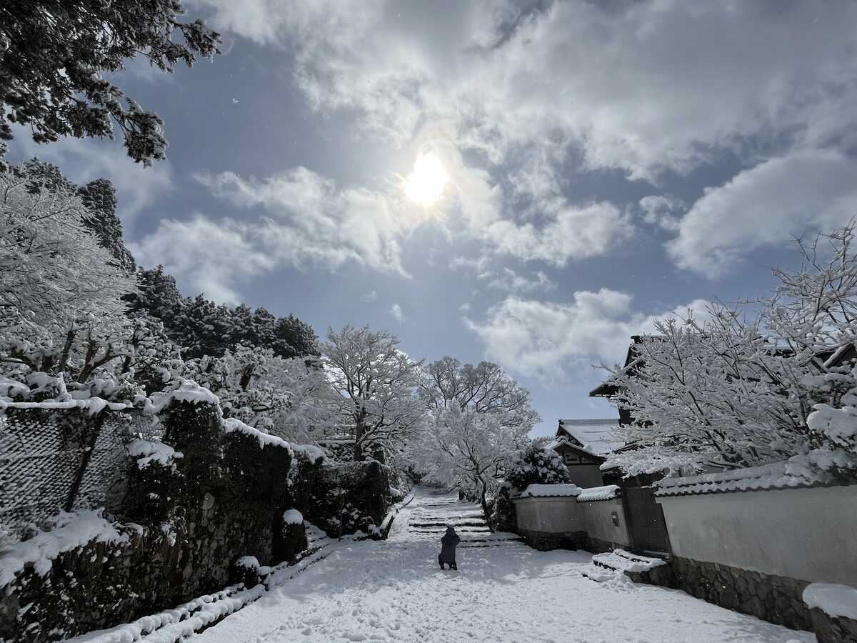 雪の花が咲いたような。夏の暑さが続く頃に雪を見て少しは涼を感じる
