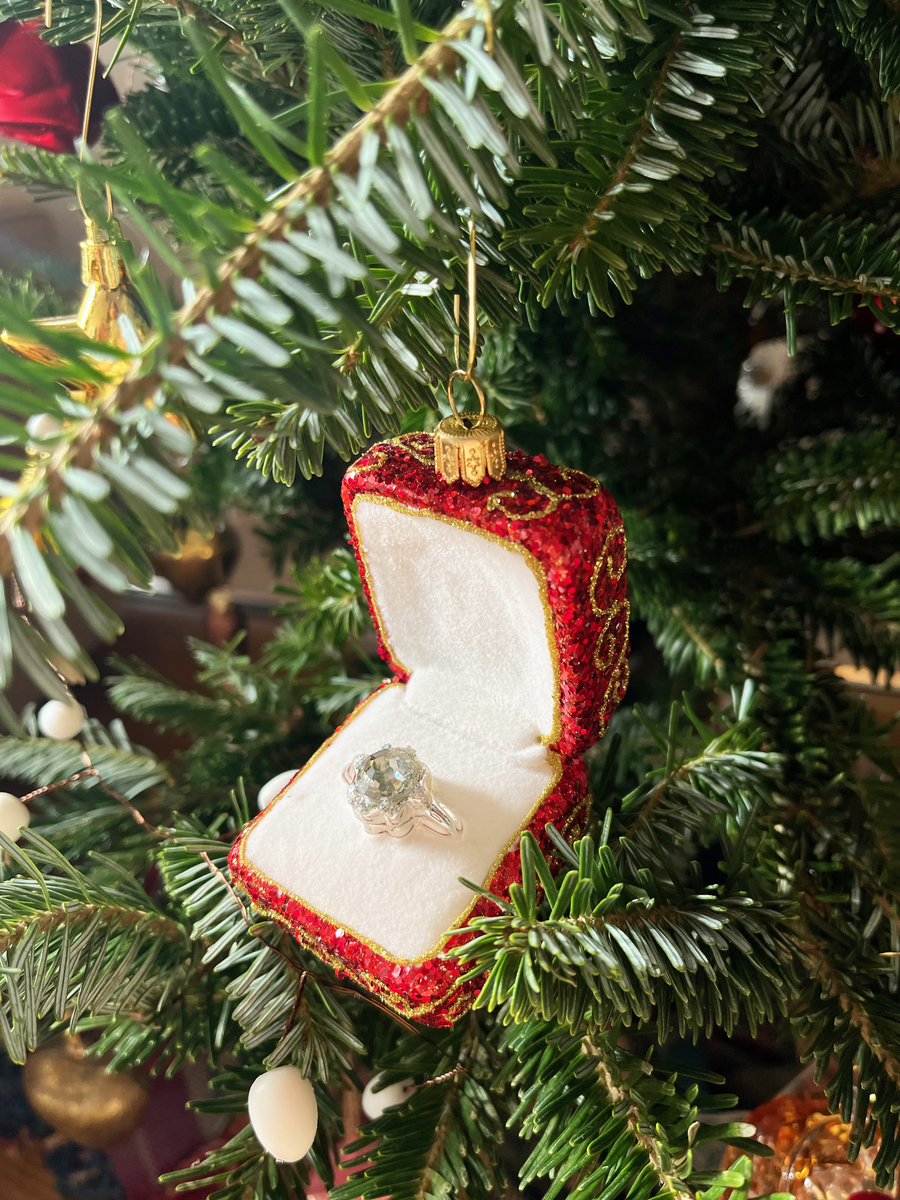 アスティエ 注文 クリスマスオーナメント Astier de Villatte