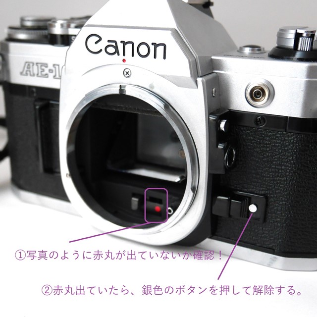 CANON AE-1 PROGRAMの使い方♪ - 〔BLOG〕パピオカメラ│フィルム