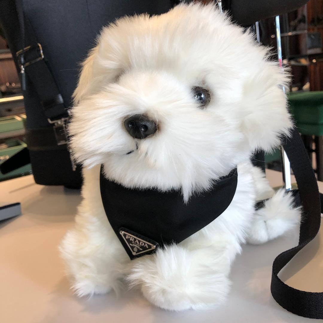 日本未入荷【PRADA】ナイロンドッグカラー☆ (PRADA/首輪・ハーネス