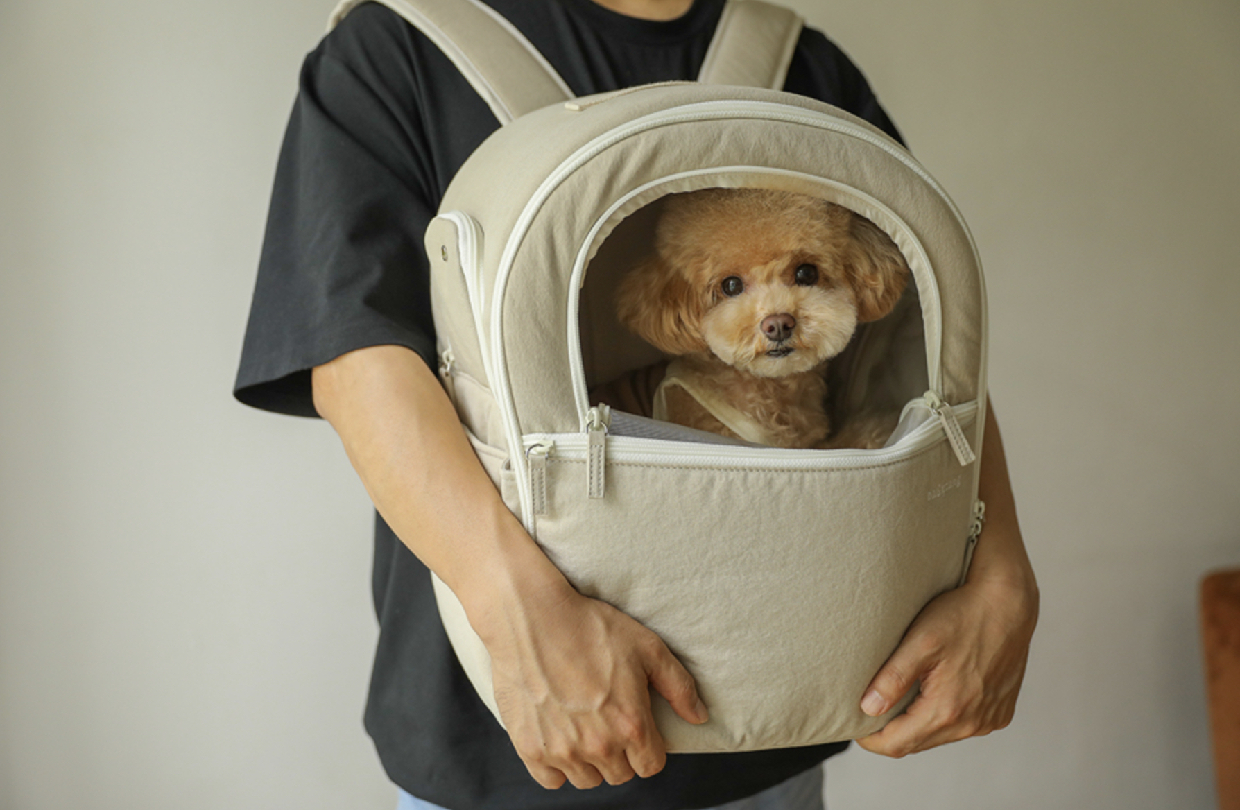 良品】バーバリー ペット キャリー 犬 ドッグ 【公式通販】