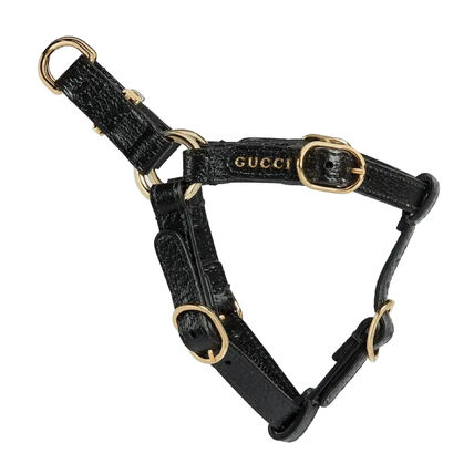 GUCCI 黒 レザー 首輪 ゴールド金具 リードと首輪のセット GUCCI 黒