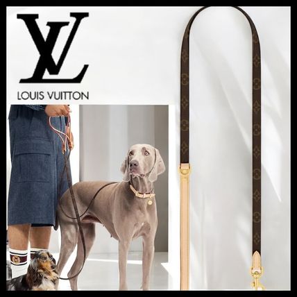 LOUIS VUITTON ルイヴィトン 犬 リード 首輪 紐 革 お散歩 ペット