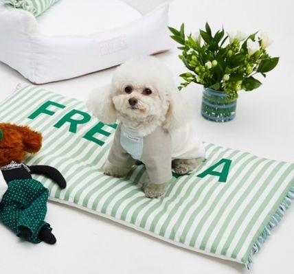 Louis dog(ルイスドッグ)の商品一覧 - ブランド通販のBUYMA