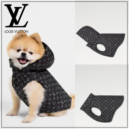 LOUIS VUITTON ルイヴィトン 犬 リード 首輪 紐 革 お散歩 ペット