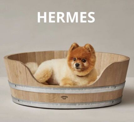 HERMES(エルメス) ペットベッド・クッション(ライフスタイル
