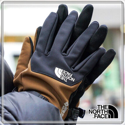 ブルー（青）系 THE NORTH FACE(ザノースフェイス) 手袋(メンズ