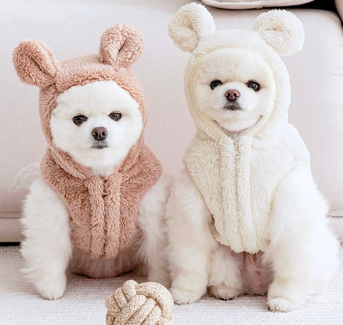 SSOOOK beige SMサイズ SSOOOK ☆SLINGBAG V.Smart Sサイズ【カバンが