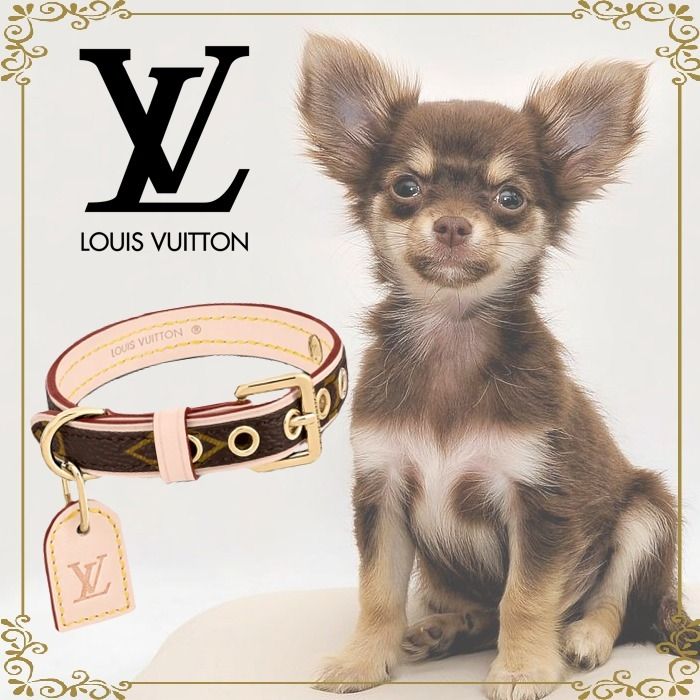 ルイヴィトンペット用首輪小型犬用