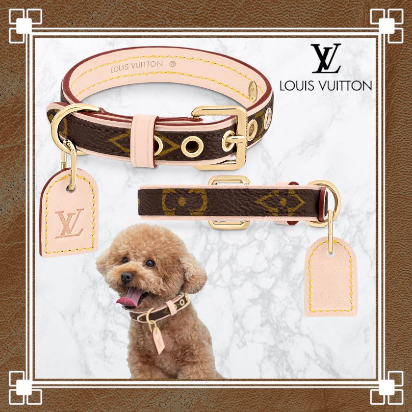 ルイヴィトン ドックカラー リーシュ セット 中型犬 首輪 リード ルイ