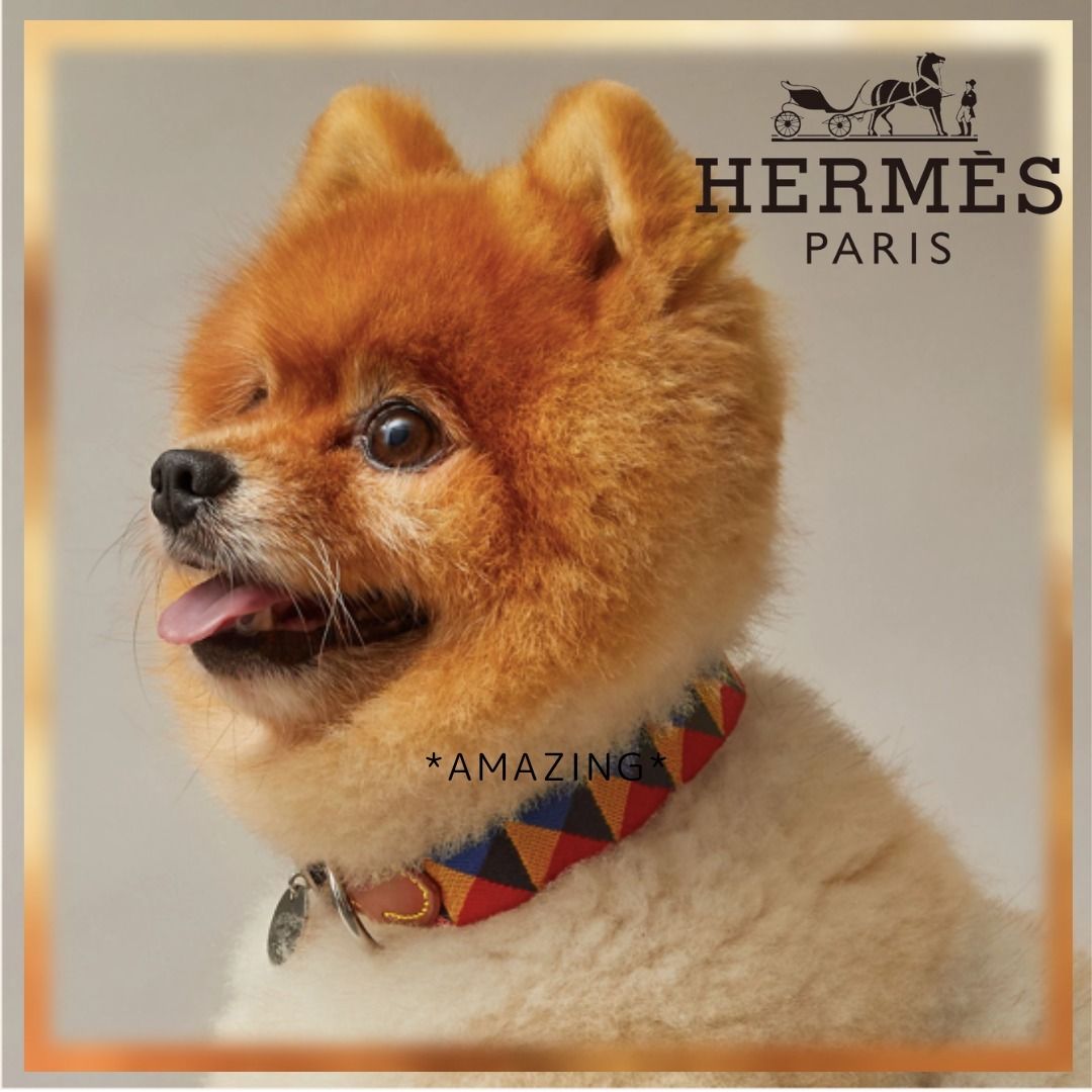 エルメスHERMES メドール首輪犬用キャンバスレザー中古美品