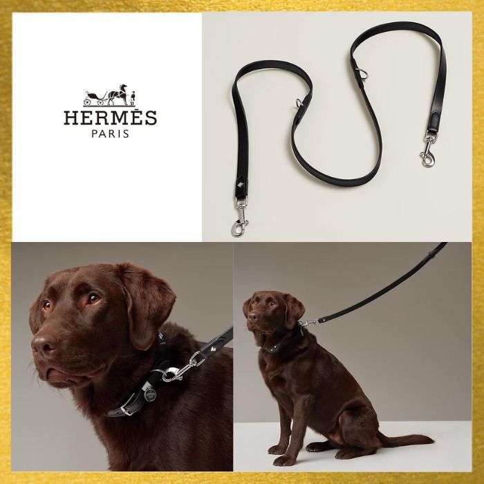HERMES 犬用首輪リード