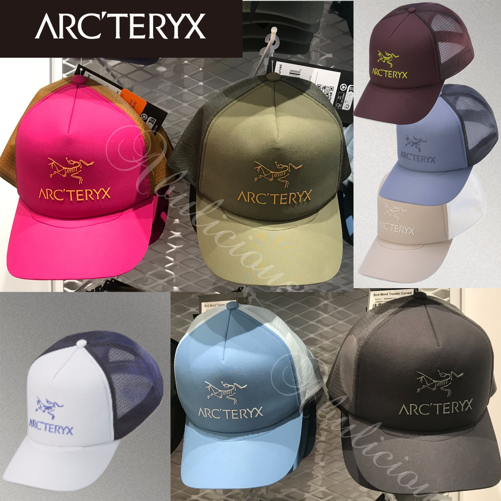 Arc'teryx☆メッシュ・キャップ BIRD WORD TRUCKER CURVED HAT (ARC