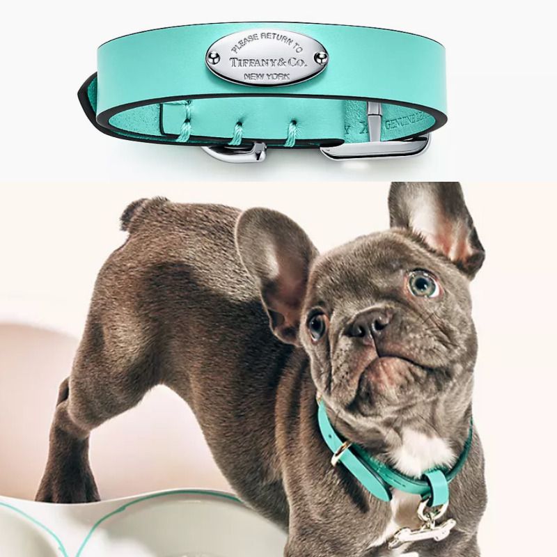 日本完売】Tiffany レザーペットの首輪 ティファニーブルー犬 (Tiffany