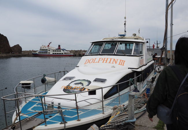 知床クルーザー観光船 ドルフィン クチコミ・アクセス・周辺情報｜知床