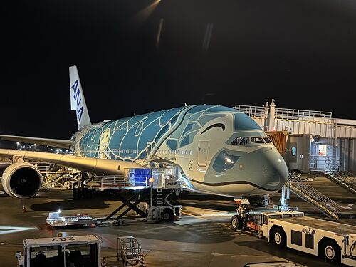 念願のフライングホヌでのハワイ旅行（1）カイくんでハワイに