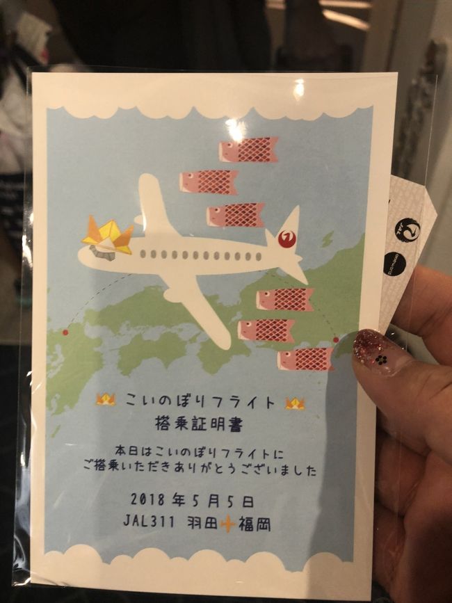 日本航空 JAL こいのぼりフライト 搭乗証明書 メッセージカード シール