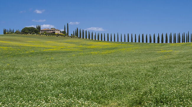 イタリア2024－② トスカーナ編』トスカーナ州(イタリア)の旅行記