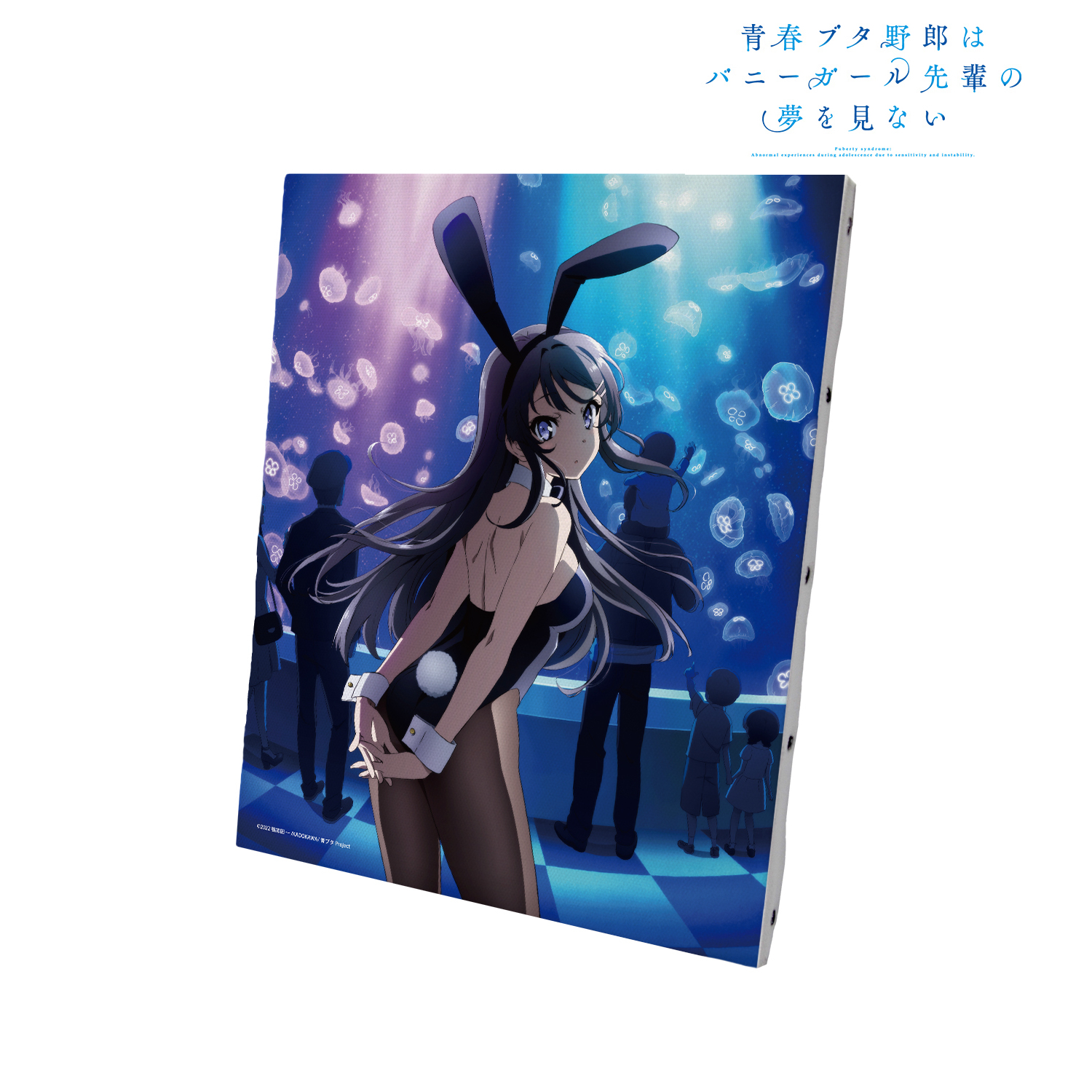 青春ブタ野郎はバニーガール先輩の夢を見ない_キービジュアル