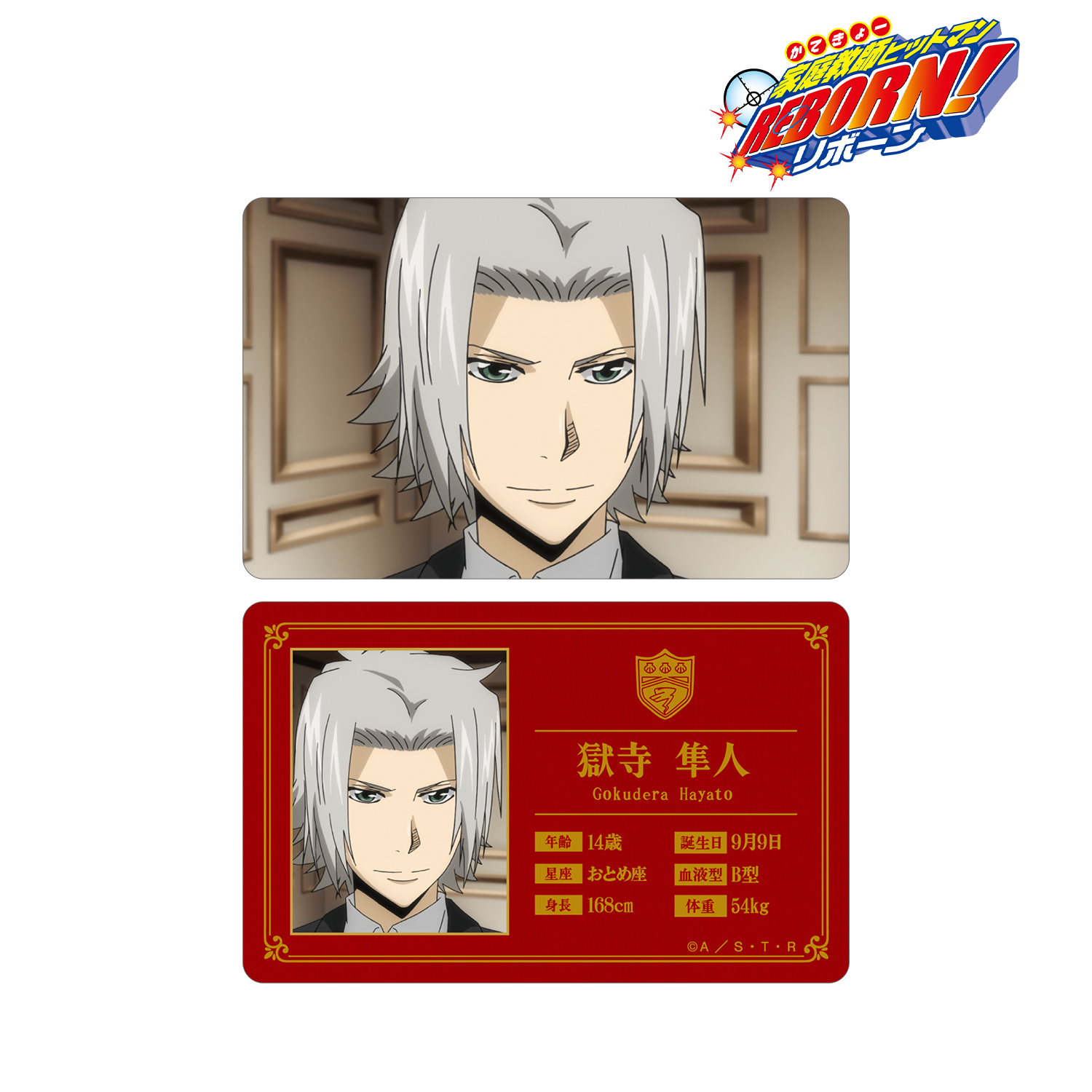 家庭教師ヒットマンREBORN!_獄寺 隼人 ビジュアルカード | 公式グッズ