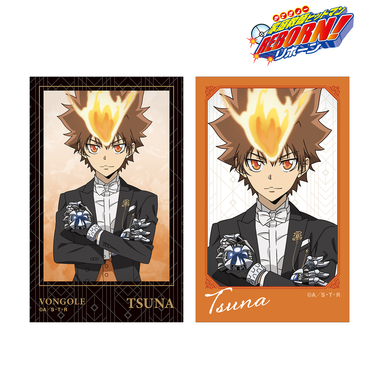 希少 家庭教師ヒットマンREBORN リボアニポストカード 沢田綱吉