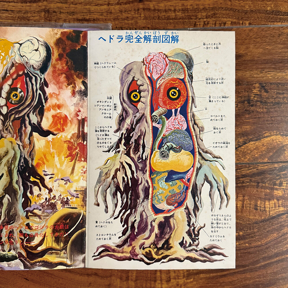 ☆メディコムトイ GODZILLA VINYL WARS ヘドラ(解剖図解) ①