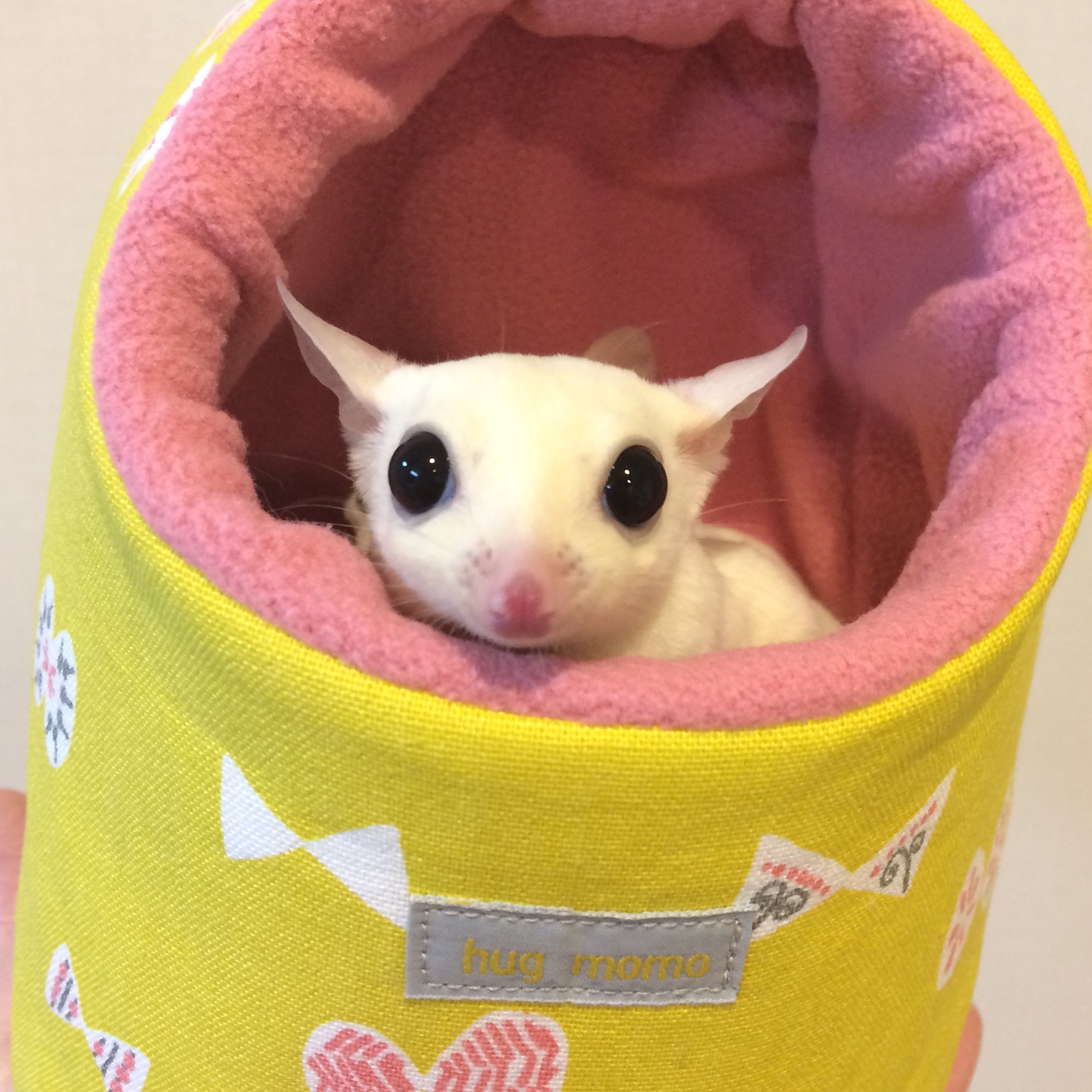 グータン様 オーダーページ ✩ お出かけポーチ モモンガポーチ 【公式