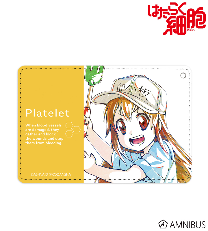 NK細胞｜ スポーツ＆アウトドア はたらく細胞 パスケース 120個