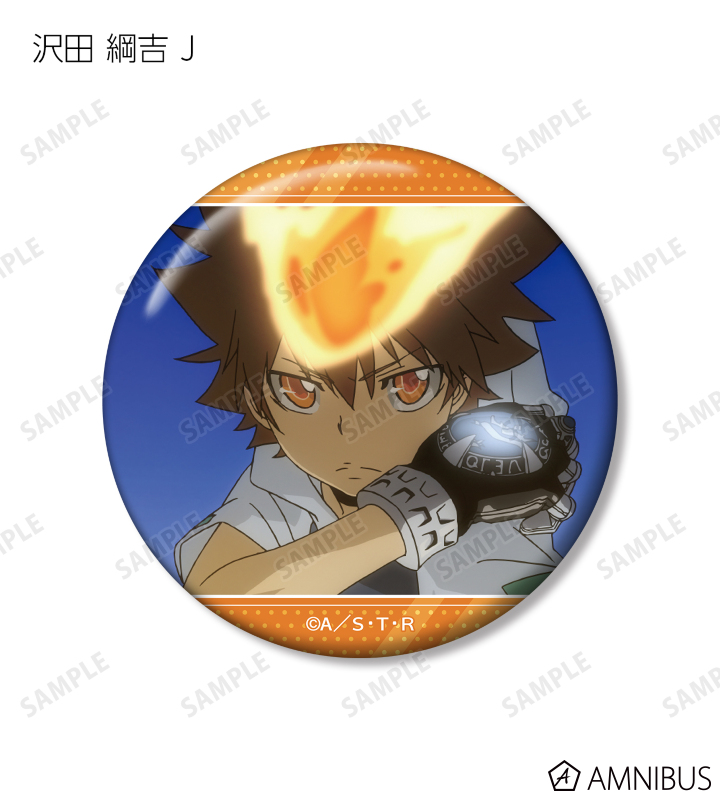 TVアニメ『家庭教師ヒットマンREBORN!』 - トレーディング 沢田 綱吉