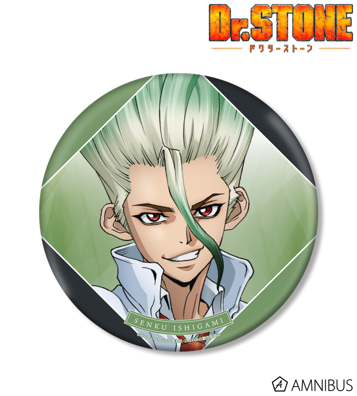 TVアニメ「Dr.STONE」 - 描き下ろしイラスト 石神千空 石化前ver. BIG