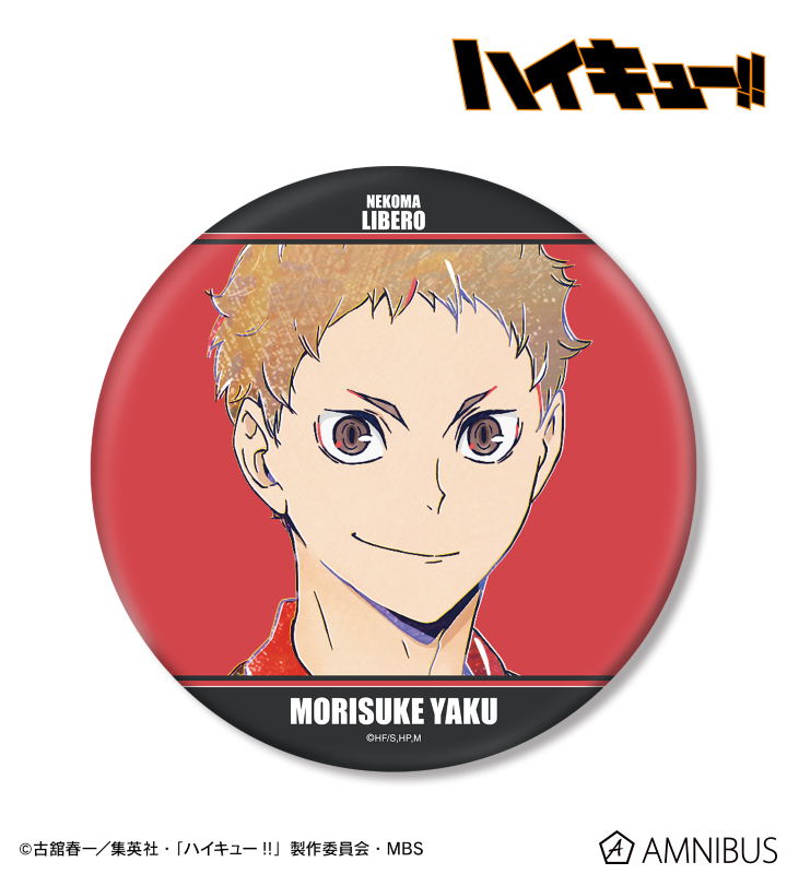 ハイキュー 夜久衛輔 サマーフェア 缶バッジ30点まとめ売り ハイキュー
