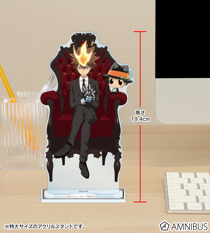 TVアニメ『家庭教師ヒットマンREBORN!』 - 描き下ろしイラスト 沢田