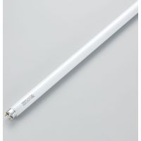 Hf直管蛍光灯 32形 昼白色 FHF32EXN 1本 ヤザワコーポレーション（直送