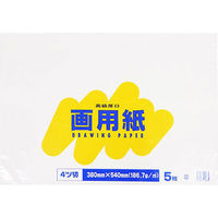 エヒメ紙工 白画用紙四つ切5枚 4ツ切 1セット - アスクル