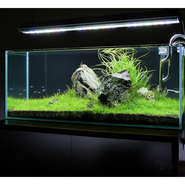 チャーム ガラス水槽 アクロ90スリム 90×30×36cm 90cm水槽 243929 1個