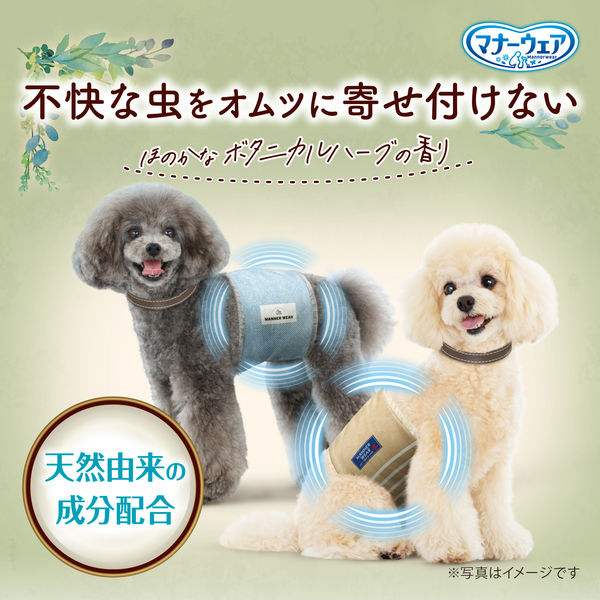 限定）マナーウェア 男の子用 SSサイズ 虫よけオムツ10枚 1セット（1袋