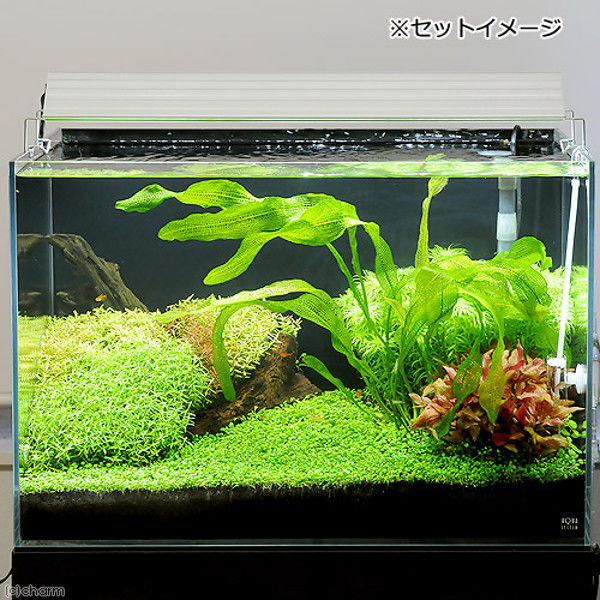 アクロtriangle bright 900 2025/01製 アクロtriangle bright 900 2025