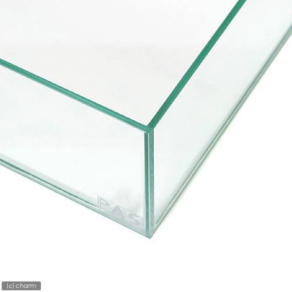 PLECO（プレコ） GLASIA 水上育成用 600 60×30×10cm 5mm 60cm水槽 単体