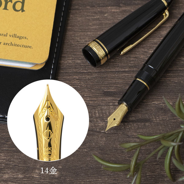 セーラー万年筆 プロフィットスタンダード万年筆 ブラック F(細字