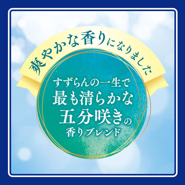 ニュービーズ 大サイズ 800g 1箱（8個入） 衣料用洗剤 粉末洗剤 花王