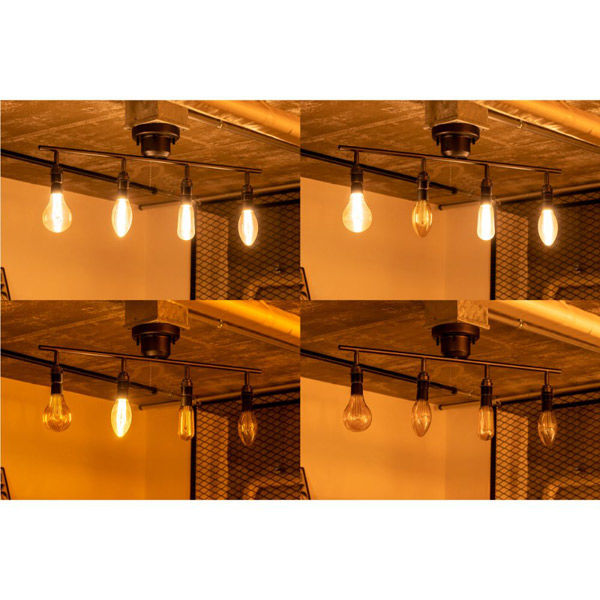 TIC 本体 4灯スポットライト ブラス TC-1005-BS 1個（直送品） - アスクル