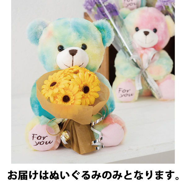 ヘッズ 抱きつきアニマル くまのシロップ ぬいぐるみ レインボー 1