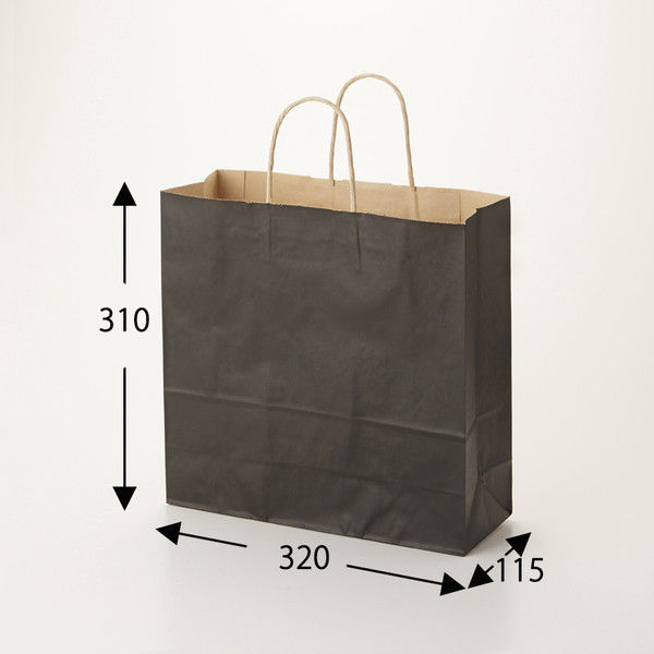 ケース販売】HEIKO 紙袋 25チャームバッグ 3才 未晒 黒C 003251211 1