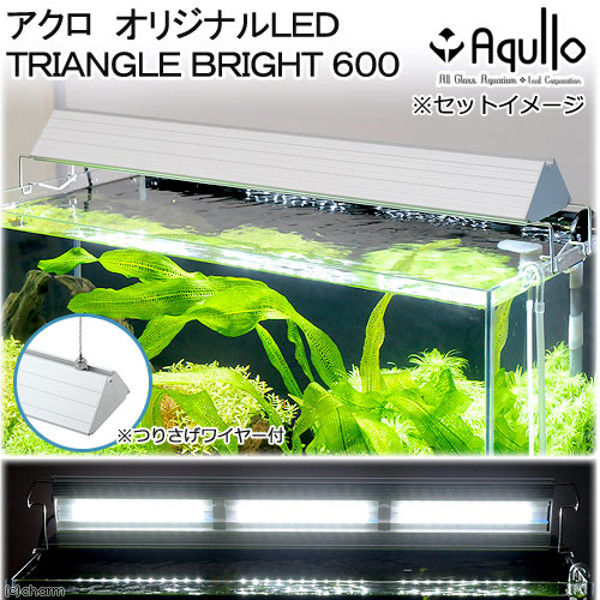 アクロ TRIANGLE LED BRIGHT Pro 60cm 逆さ毛鉤】Aquilo LED