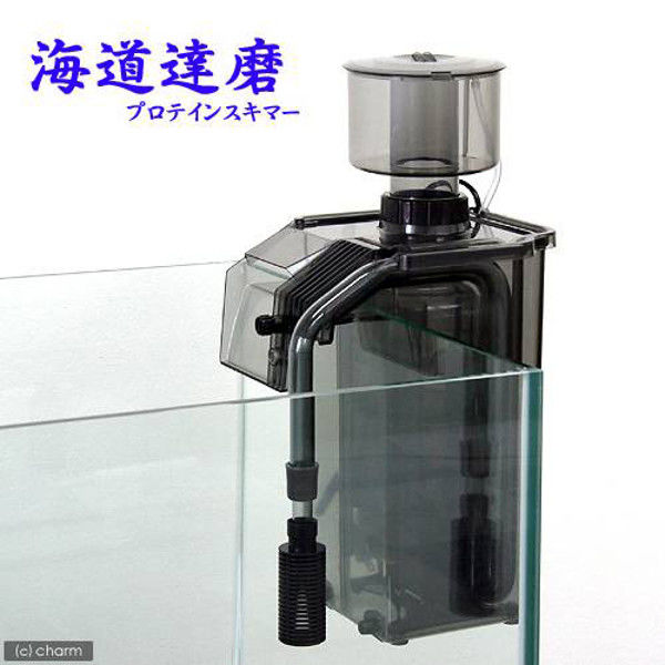 KAMIHATA（カミハタ） 海道達磨 プロテインスキマー 66293 1個（直送品